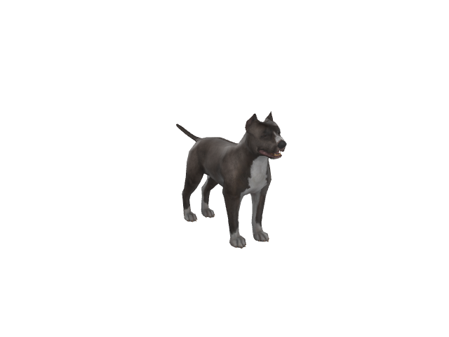 Pitbull